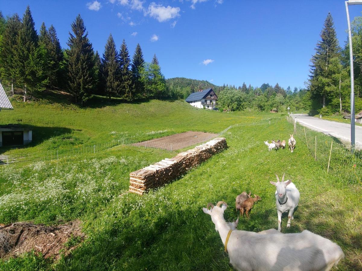 Tourist Farm Pr' Maretc Bohinjska Bistrica Exterior foto
