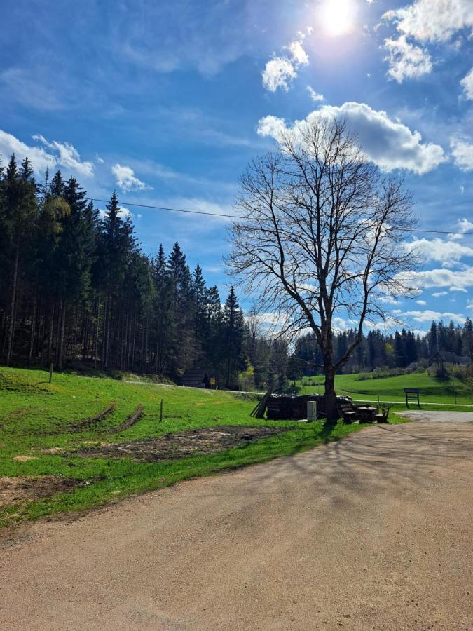 Tourist Farm Pr' Maretc Bohinjska Bistrica Exterior foto