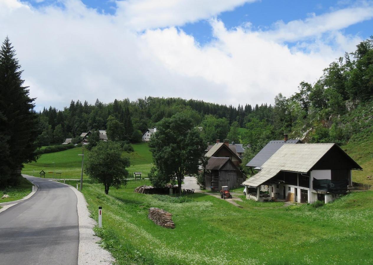Tourist Farm Pr' Maretc Bohinjska Bistrica Exterior foto